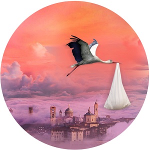 immagine articolo